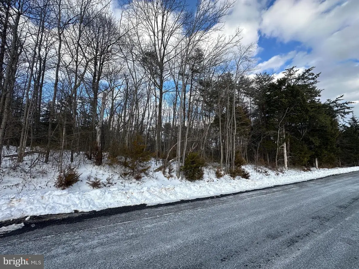 0 Hollow Rd, Gore, VA 22637 - Image #1