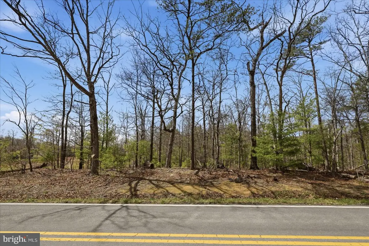 5.35 Ac # 16 F- Back Mountain Rd, Winchester, VA 22602 - #1