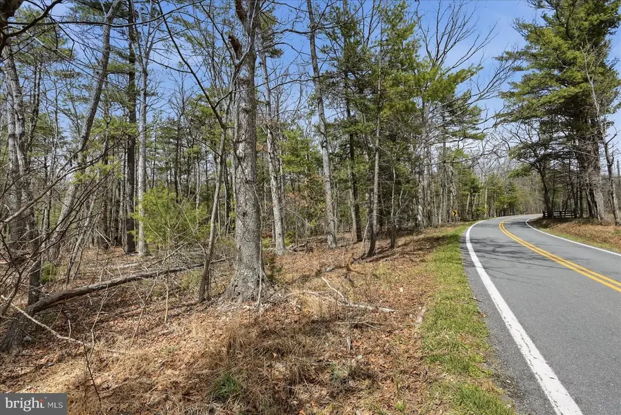 5.35 Ac # 16 F- Back Mountain Rd, Winchester, VA 22602 - #3