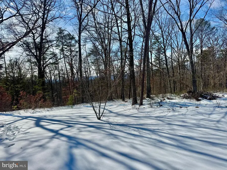 4403 Back Mountain Rd, Winchester, VA 22602 - #2