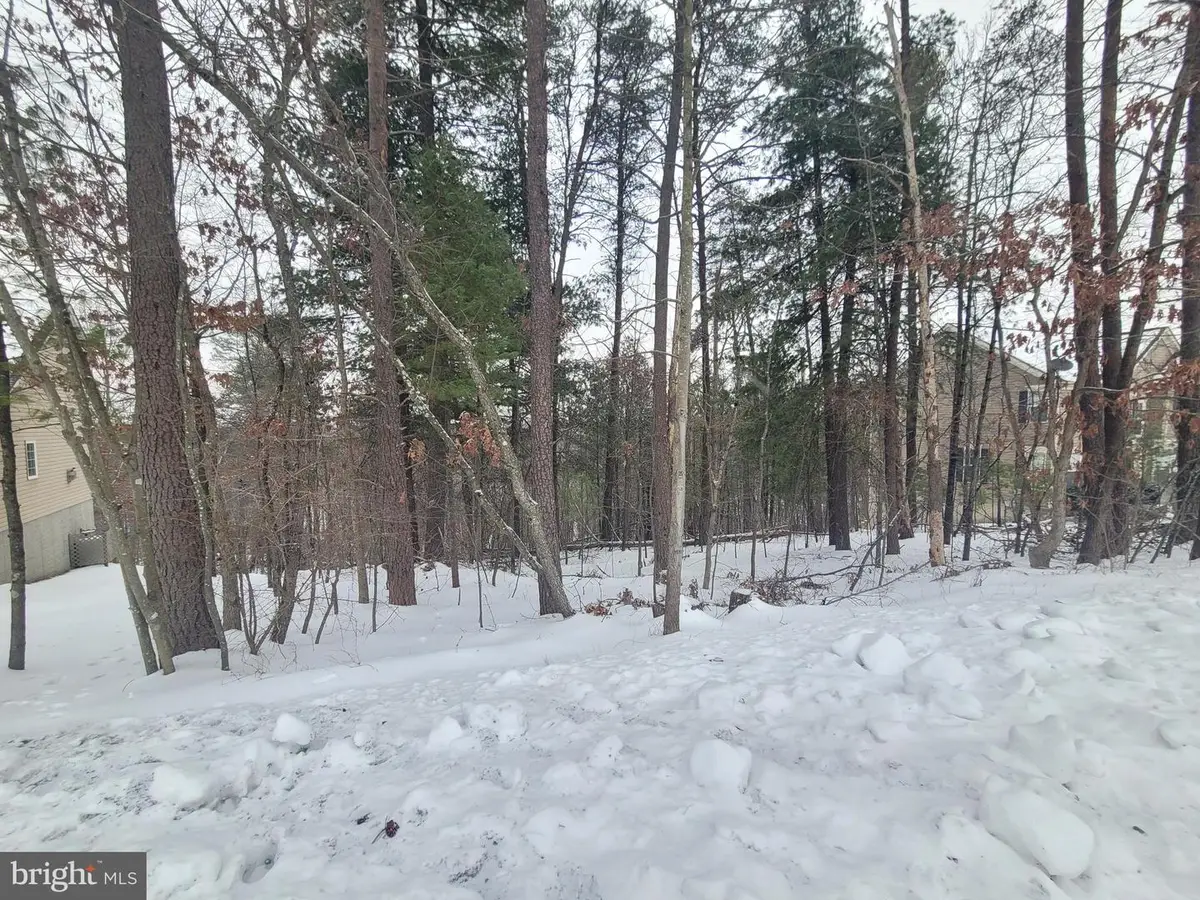 407 S Lakeview Dr, Cross Junction, VA 22625 - #1