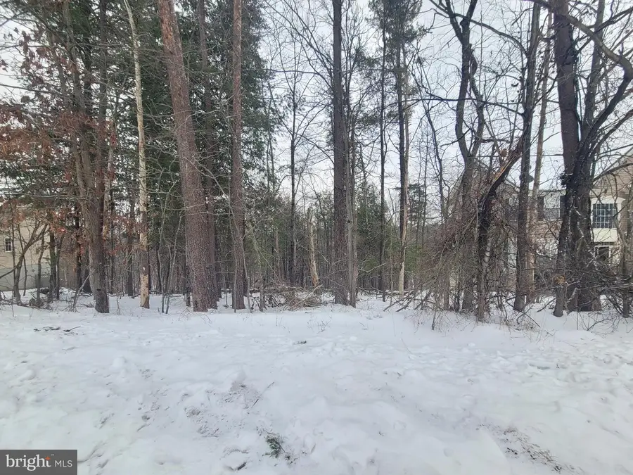 407 S Lakeview Dr, Cross Junction, VA 22625 - #2