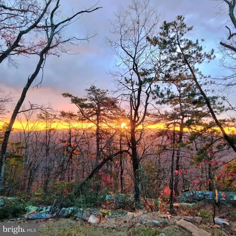 115 Dogwood Trl, Winchester, VA 22602 - #3