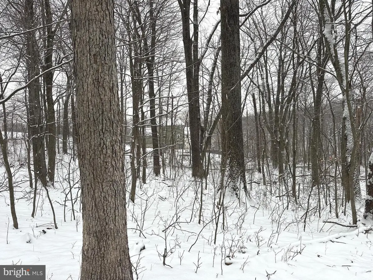 Lot 68 Killbuck Trl, Winchester, VA 22602 - #1