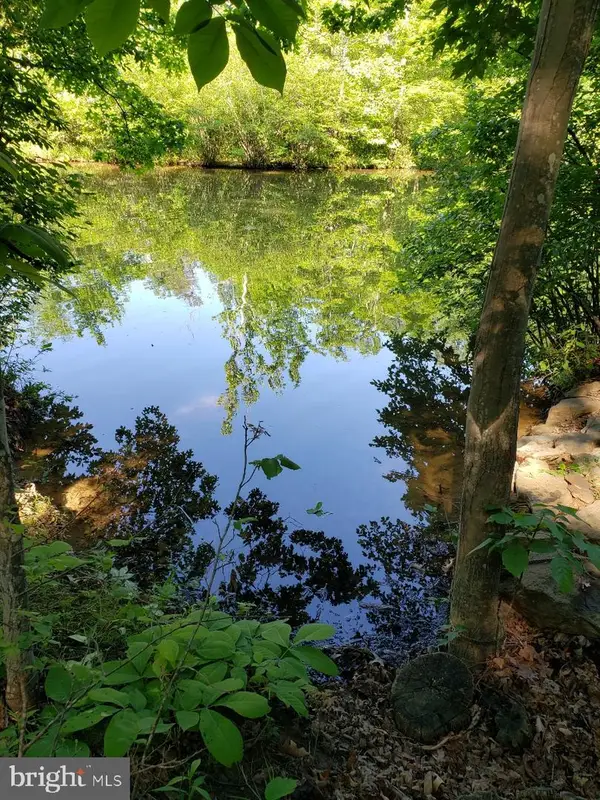 0 Lakeview, CROSS JUNCTION, VA 22625