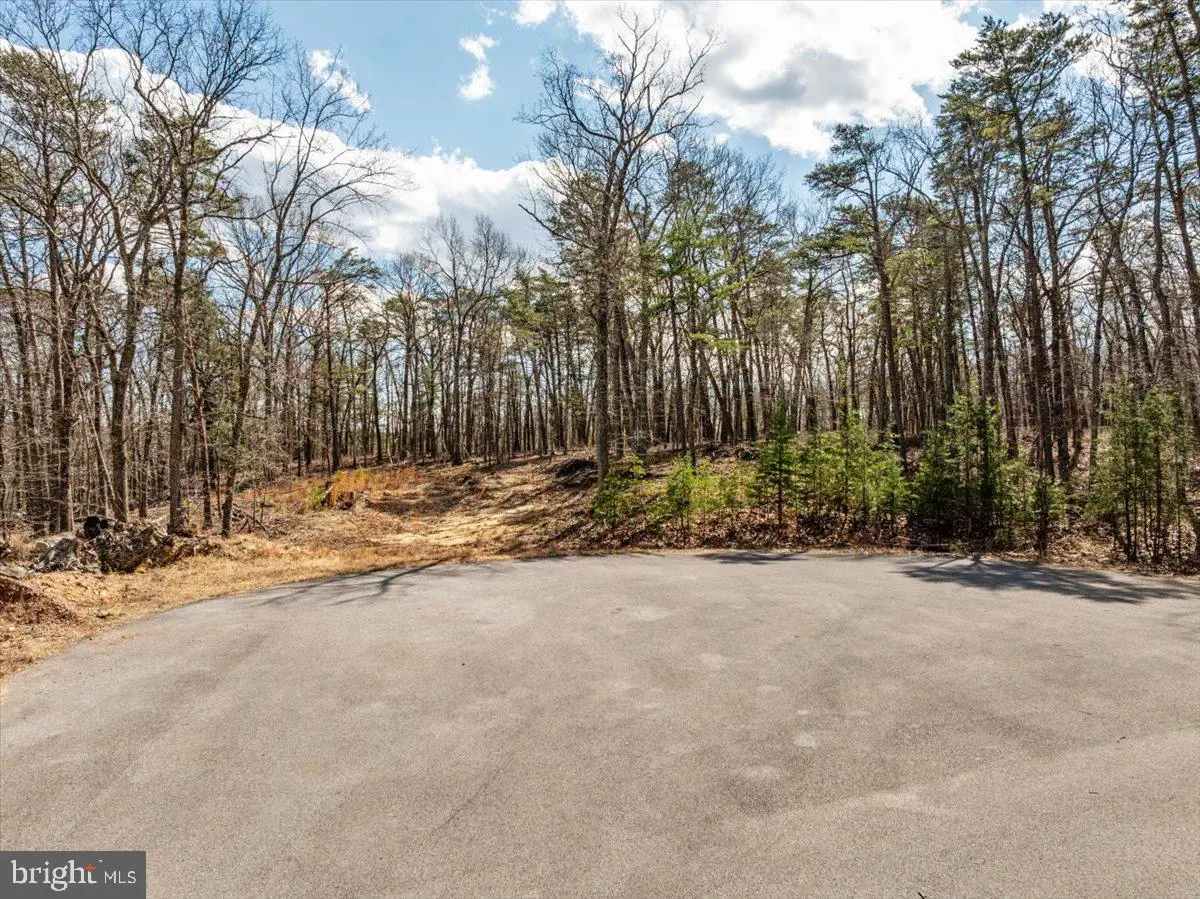Lot 18 - Loop Court, Cross Junction, VA 22625 - #1