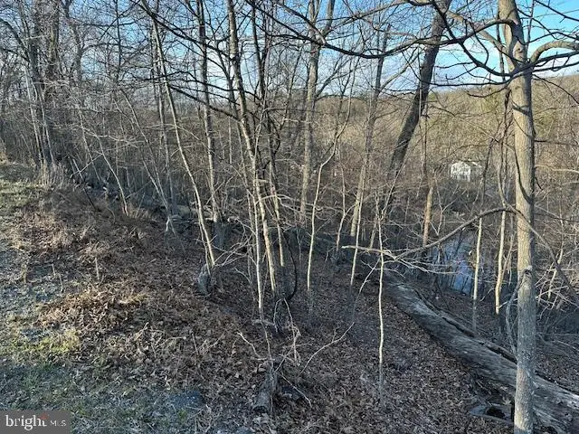 1231 Lakeview Dr, Cross Junction, VA 22625 - #3