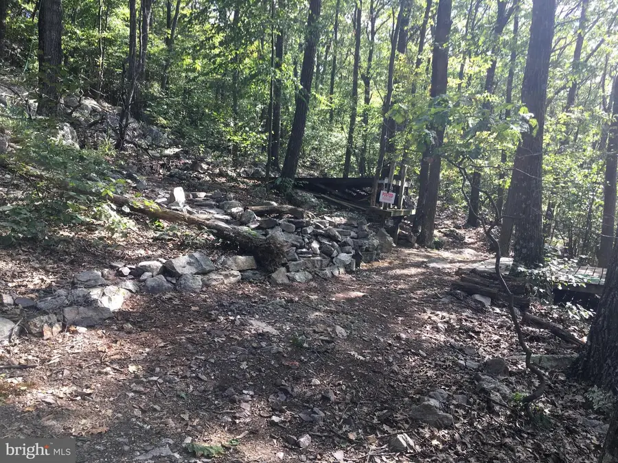 83 Bobcat Trl, Winchester, VA 22602 - #3