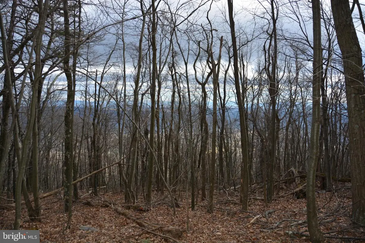 Rockwood Trl #49.61 Acres, Winchester, VA 22602 - #1