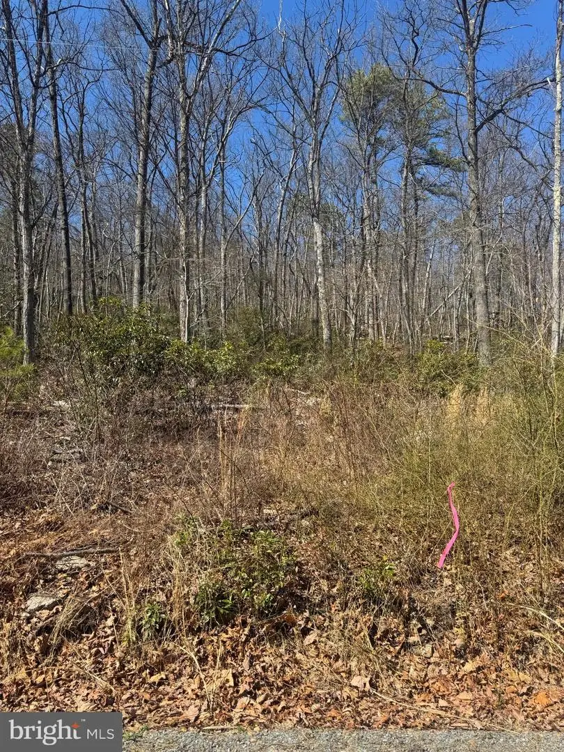 Fox Trl, Winchester, VA 22602 - #2