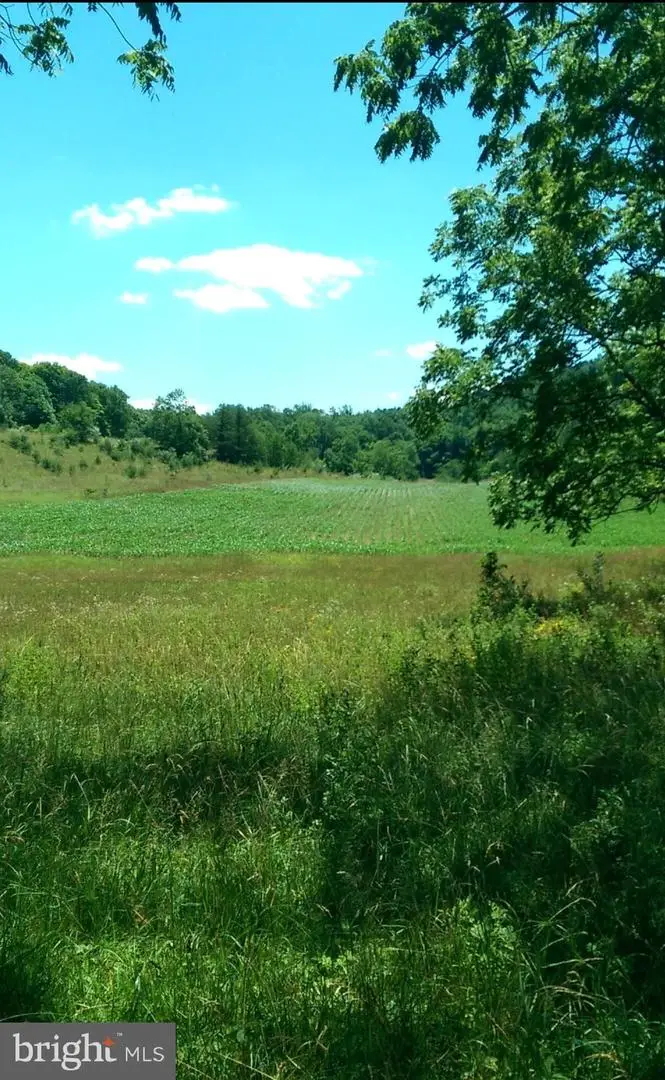 1112 Stony Hill Rd, Winchester, VA 22603 - #1