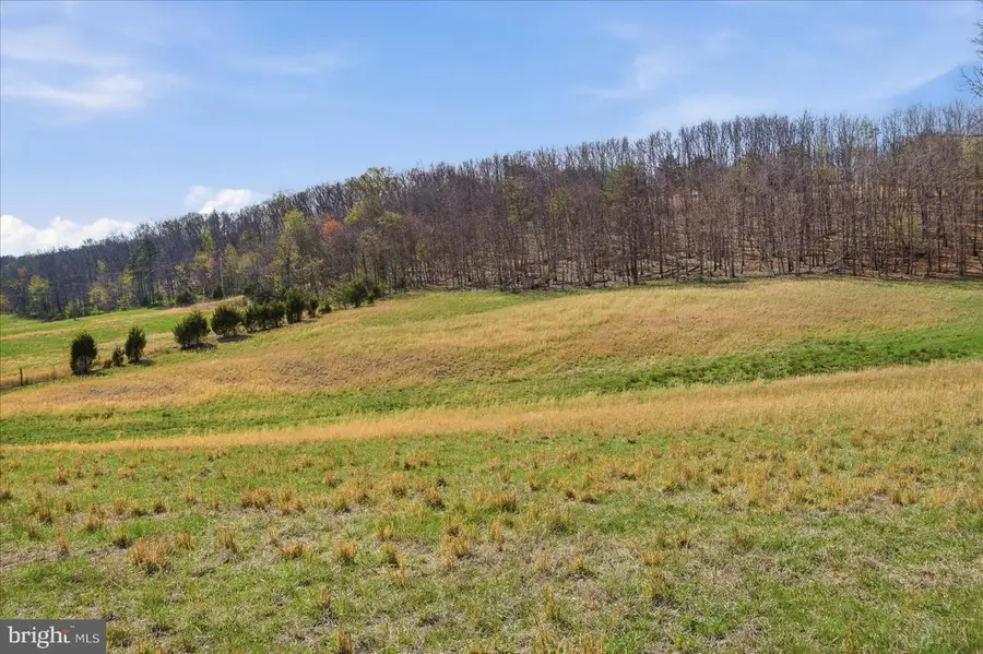 000 Light Rd, Winchester, VA 22603 - #2