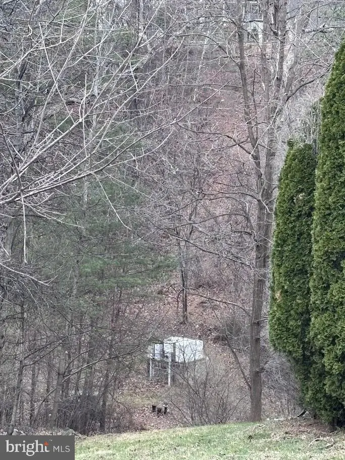 Lot #184 Sleigh Drive, Cross Junction, VA 22625 - #2