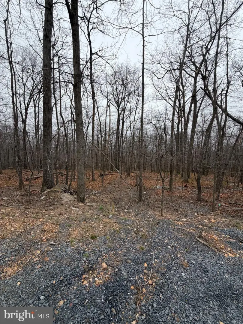 Arbutis Trl, Star Tannery, VA 22654 - #1