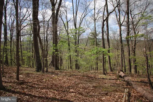 Oak Dr, WINCHESTER, VA 22603