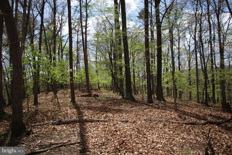 Oak Dr, Winchester, VA 22603 - #3