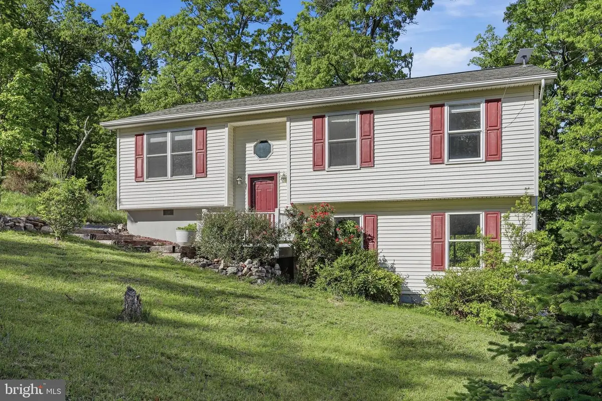 902 Enfield Dr, Winchester, VA 22602 - #1