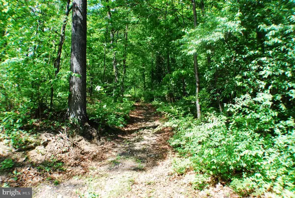 Lot 153 Babbs Mountain Rd, WINCHESTER, VA 22603