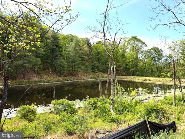 Lot 1 Crested Mountain Ln, CROSS JUNCTION, VA 22625