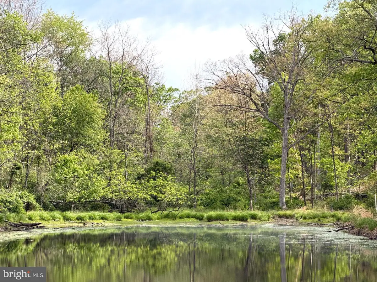 Lot 2 Crested Mountain Ln, Cross Junction, VA 22625 - #1