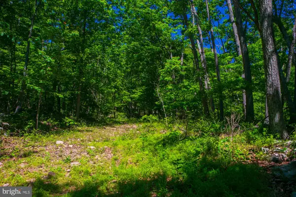 Lot 37 Poplar Trl, WINCHESTER, VA 22602