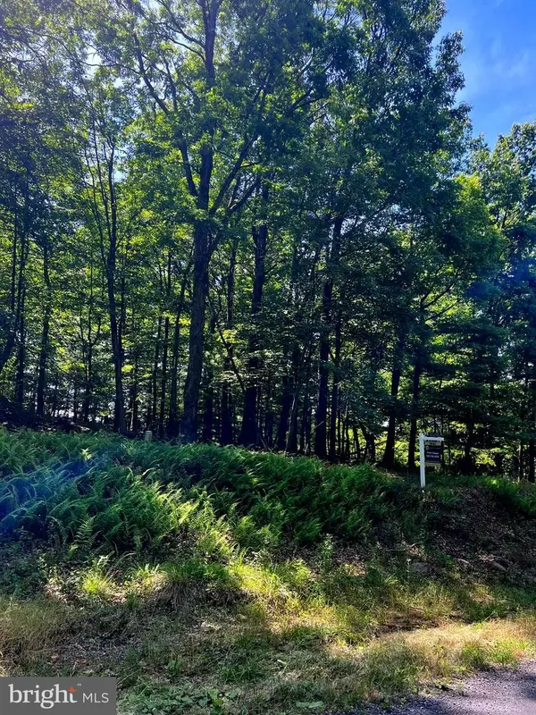 0, STAR TANNERY, VA 22654