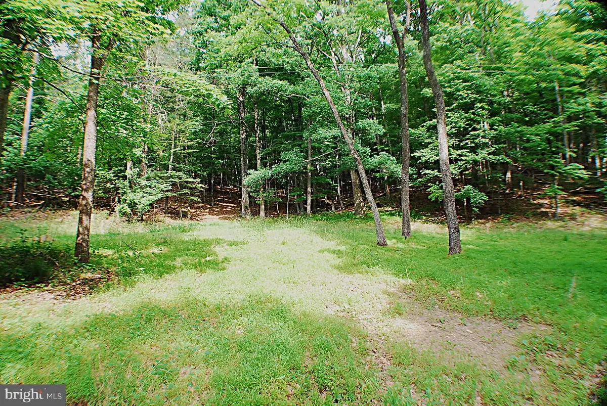 Lot 5 Snake, Winchester, VA 22603 - #1
