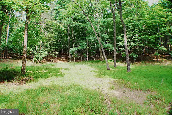 Lot 5 Snake, WINCHESTER, VA 22603