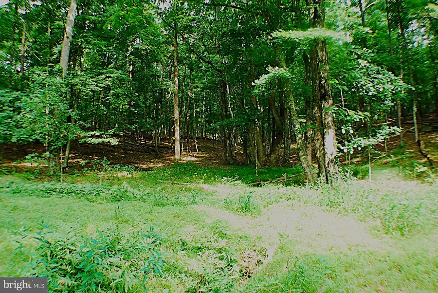 Lot 5 Snake, Winchester, VA 22603 - #2