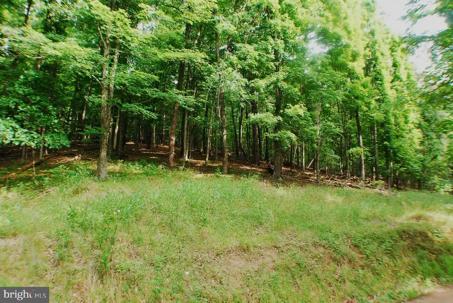 Lot 5 Snake, Winchester, VA 22603 - #3