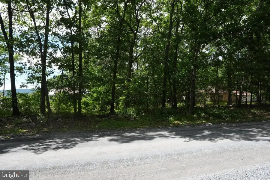 1917 S Timber Ridge, Cross Junction, VA 22625 - #2
