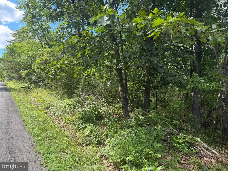 Lot 13 Redbud Rd, Stephenson, VA 22656 - #3