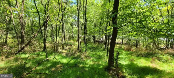 209 Mineral St, MIDDLETOWN, VA 22645