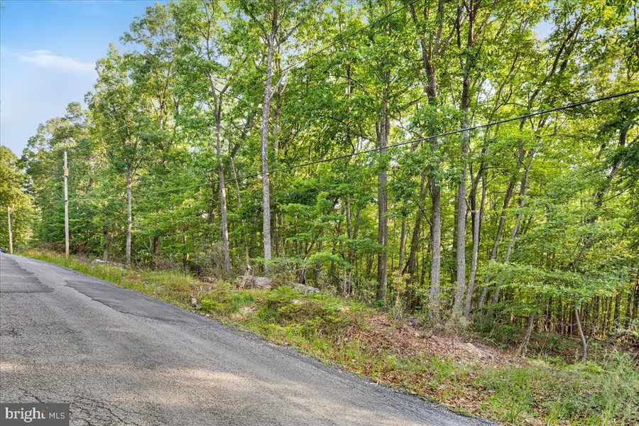 0 Henry Dr., Winchester, VA 22602 - #3
