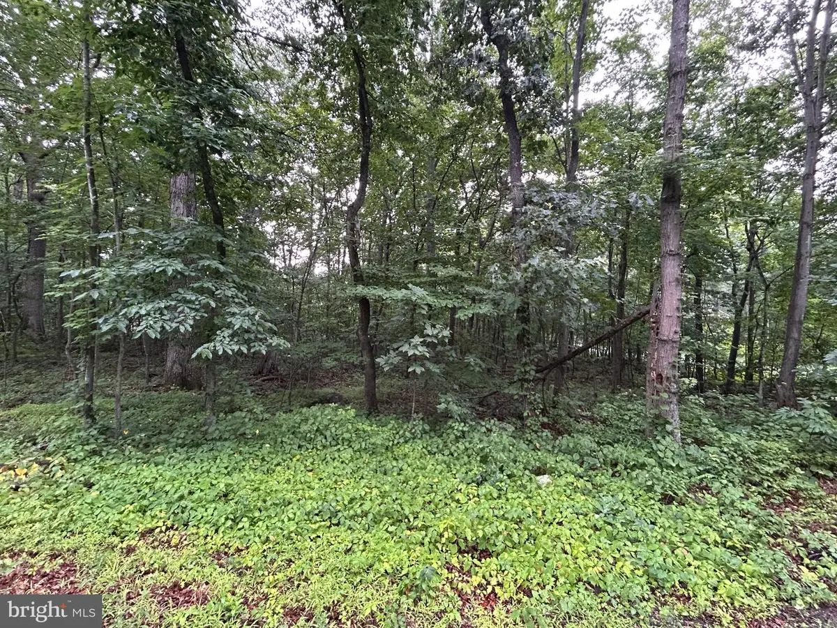 Lot 27 Cochise Trl, Winchester, VA 22602 - #1