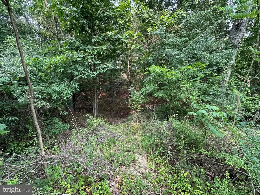 147 Lake Holiday Rd, Cross Junction, VA 22625 - #3