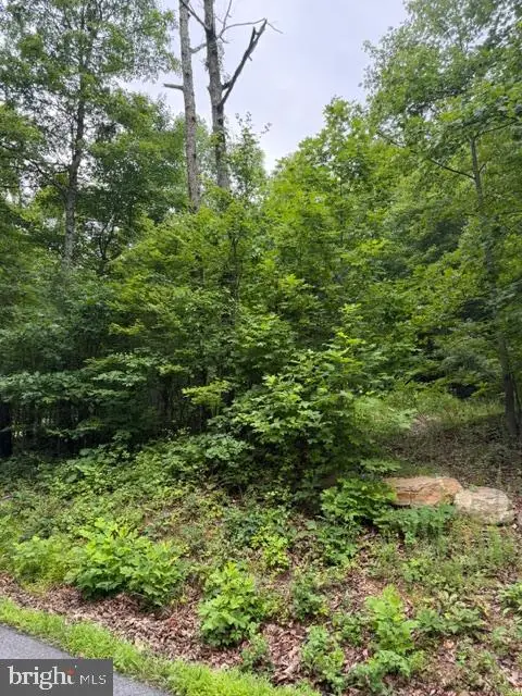 0 Tomahawk (lot 99) Trl, Winchester, VA 22602 - #3