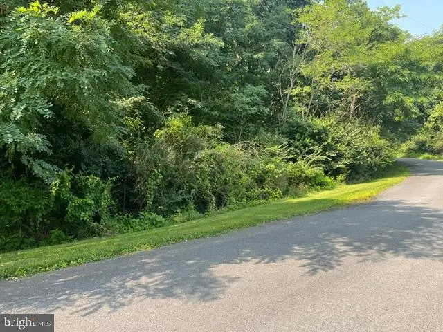 0 Joine Dr, Clear Brook, VA 22624 - #2