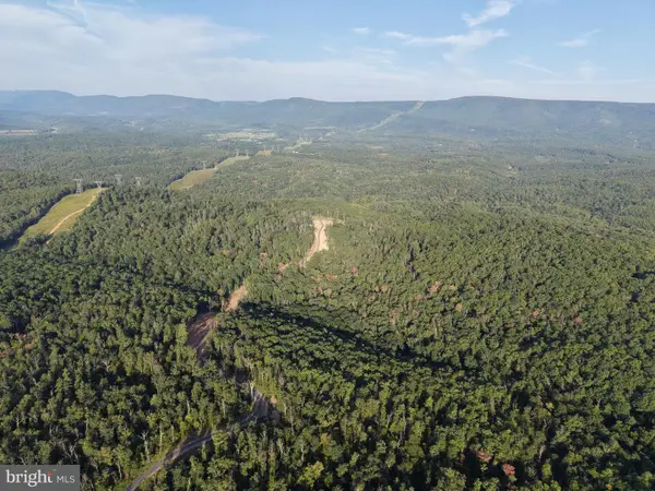 Tract 1: 152.44+/- Acres Off Of Laurel Grove Rd, WINCHESTER, VA 22602