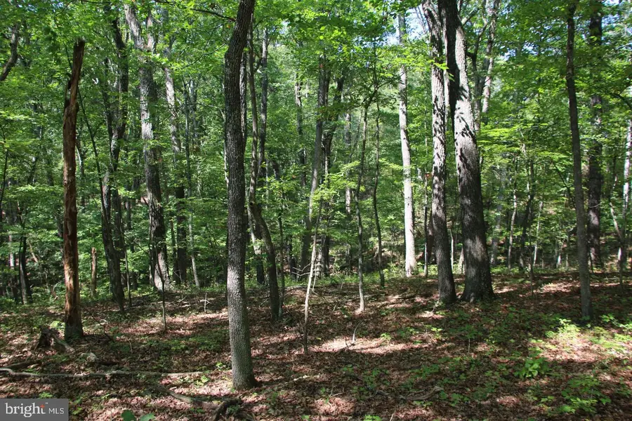 Jeans Meadow Ln, Gore, VA 22637 - #2