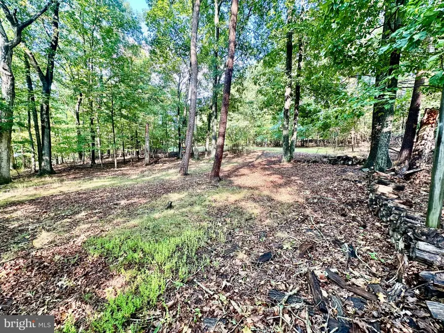 1058 Lakeview Dr, Cross Junction, VA 22625 - #3