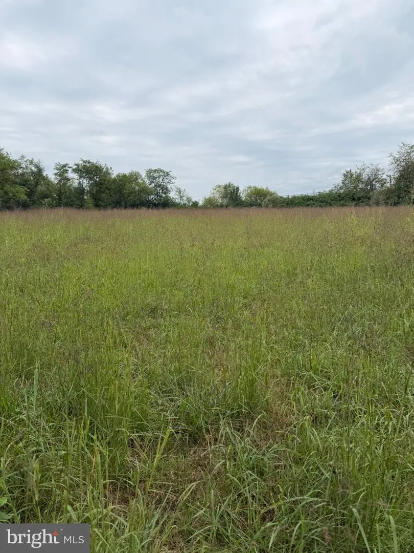 Martinsburg Pike, Clear Brook, VA 22624 - #1
