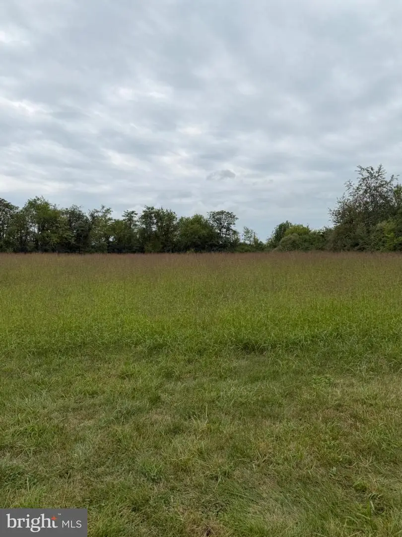 Martinsburg Pike, Clear Brook, VA 22624 - #3