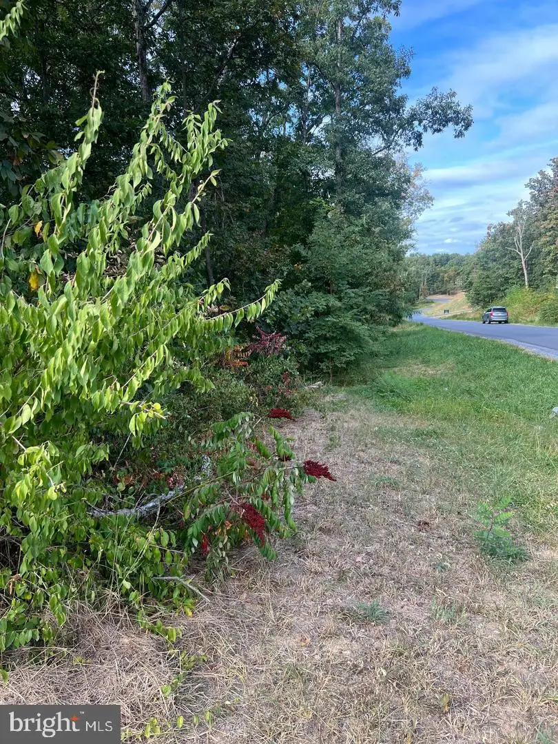 Lot 2 Covey Lane, Winchester, VA 22602 - #1