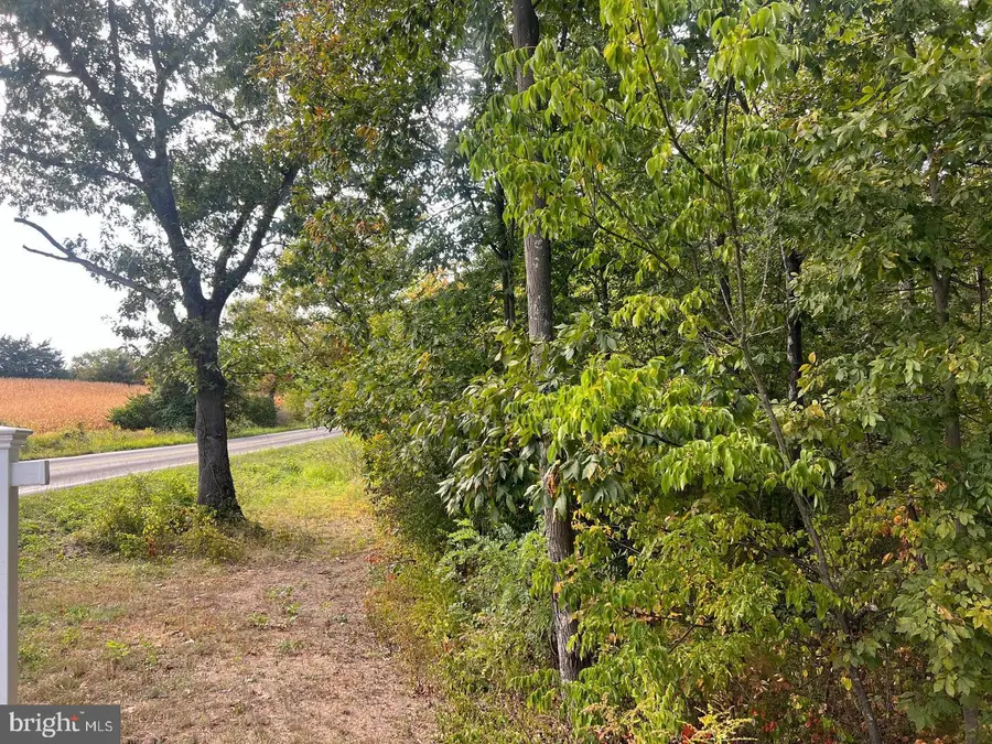 Lot 2 Covey Lane, Winchester, VA 22602 - #2