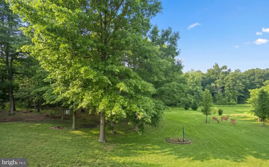 999 Dicks Hollow Rd, Winchester, VA 22603 - #3
