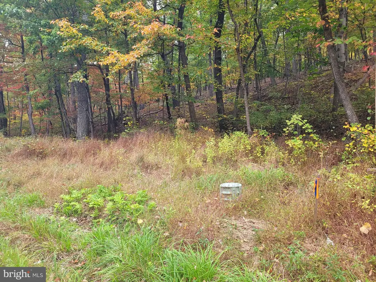 Lot 165 Hawk Trl, Winchester, VA 22602 - #1