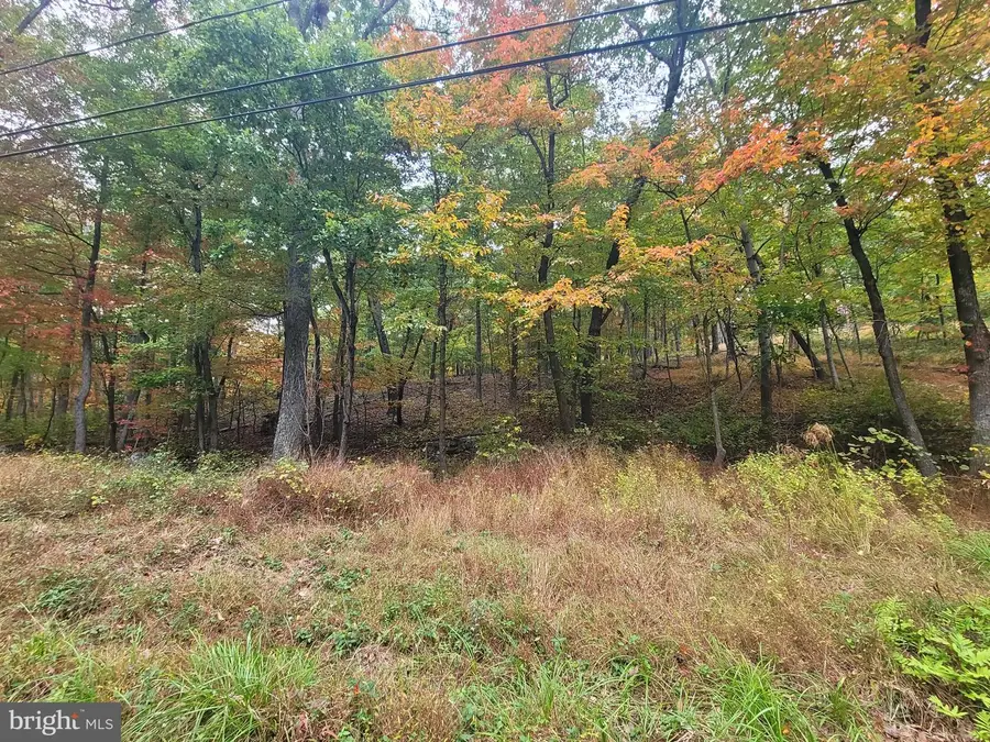 Lot 165 Hawk Trl, Winchester, VA 22602 - #3