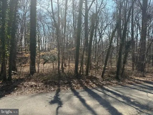 8119 Stacey Rd, Alexandria, VA 22308 - Image #2