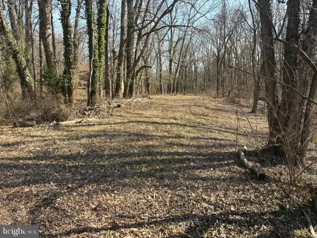 8119 Stacey Rd, Alexandria, VA 22308 - Image #3